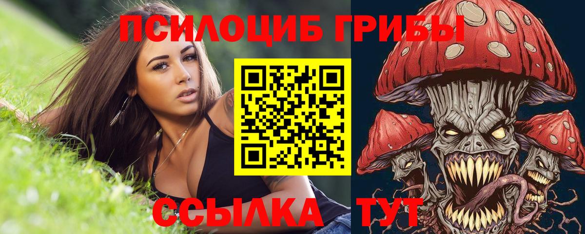 Галлюциногенные грибы Magic Shrooms  Вход с VPN  Жуковский 